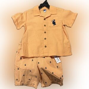 NWT toddler boy 2 Shirts & Shorts Set 4T from OldNavy
